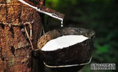 橡膠上漲仍可期，焦炭期現聯動，向