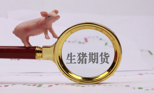 生豬期貨晚上能交易嗎?手續(xù)費(fèi)是多少