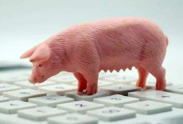 生豬期貨是什么？做一手生豬期貨最