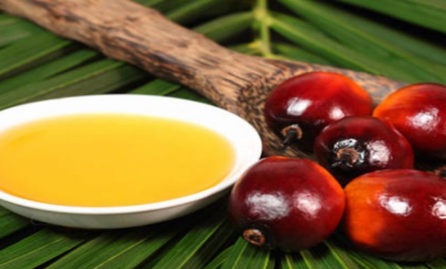 棕櫚油期貨新手入門必備知識(shí)：棕櫚
