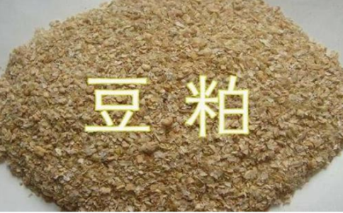 期貨豆粕和菜粕的關聯性，菜粕豆粕